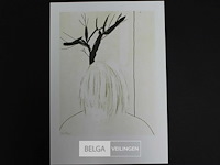 Roger raveel