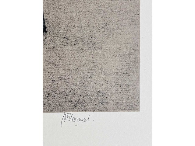 Roger wittevrongel - het atelier - kleurenzeefdruk - afbeelding 2 van  10