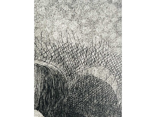 Roger wittevrongel - torso - ets - afbeelding 5 van  10