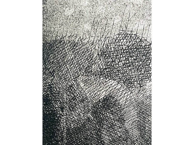 Roger wittevrongel - torso - ets - afbeelding 6 van  10