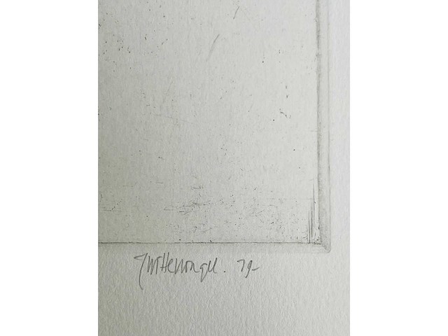 Roger wittevrongel - torso - ets - afbeelding 2 van  10