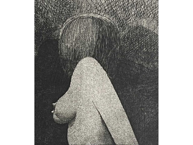 Roger wittevrongel - torso - ets - afbeelding 3 van  10