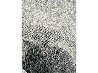 Roger wittevrongel - torso - ets - afbeelding 5 van  10