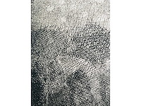 Roger wittevrongel - torso - ets - afbeelding 6 van  10