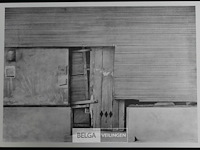 Roger wittevrongel - afbeelding 1 van  1