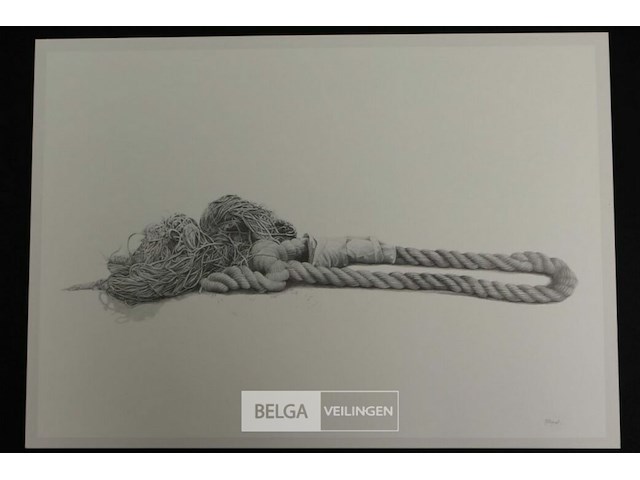 Roger wittevrongel - afbeelding 1 van  1