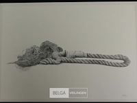 Roger wittevrongel - afbeelding 1 van  1