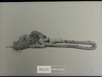 Roger wittevrongel - afbeelding 1 van  1