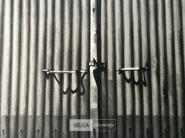 Roger wittewrongel - afbeelding 2 van  4