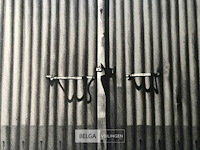 Roger wittewrongel - afbeelding 2 van  4