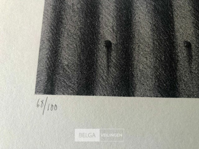 Roger wittewrongel - afbeelding 3 van  4