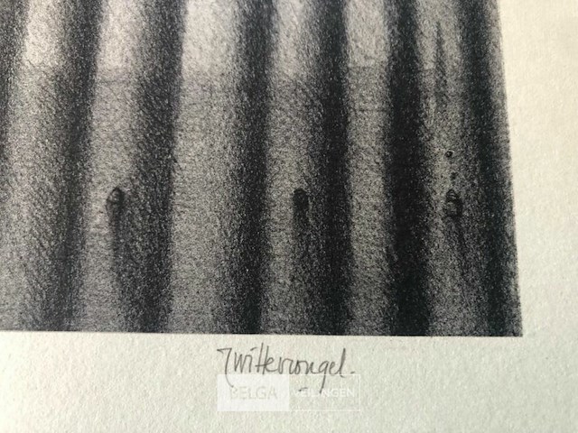 Roger wittewrongel - afbeelding 4 van  4