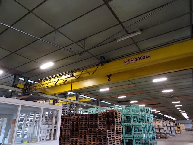 Rolbrug aersa - afbeelding 3 van  9