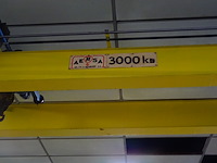 Rolbrug aersa - afbeelding 4 van  9