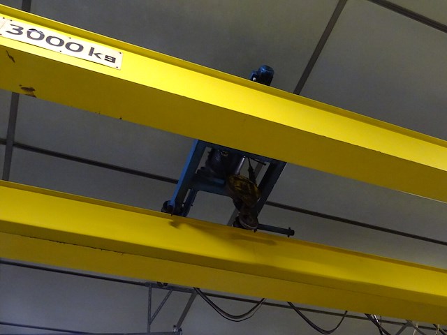 Rolbrug aersa - afbeelding 6 van  9