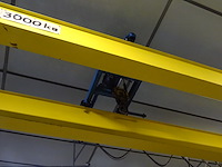 Rolbrug aersa - afbeelding 6 van  9