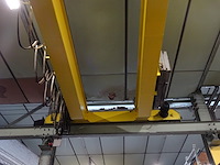 Rolbrug aersa - afbeelding 7 van  9