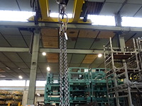 Rolbrug aersa - afbeelding 6 van  7