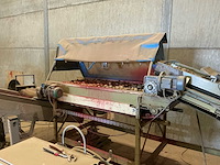 Rollenleestafel voor aardappelen aardappel sorteermachine - afbeelding 4 van  10