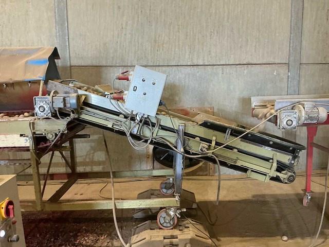 Rollenleestafel voor aardappelen aardappel sorteermachine - afbeelding 5 van  10