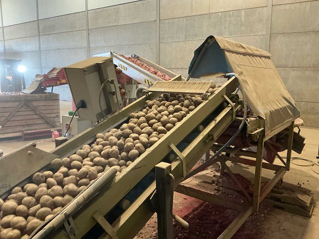 Rollenleestafel voor aardappelen aardappel sorteermachine - afbeelding 8 van  10