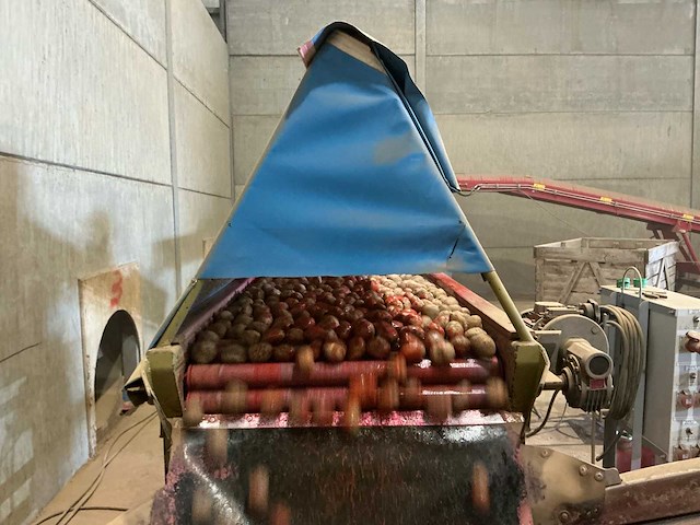 Rollenleestafel voor aardappelen aardappel sorteermachine - afbeelding 1 van  5