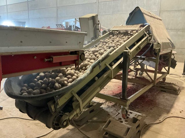 Rollenleestafel voor aardappelen aardappel sorteermachine - afbeelding 4 van  5
