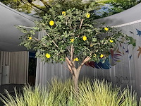 Rond bankstel - afbeelding 4 van  4