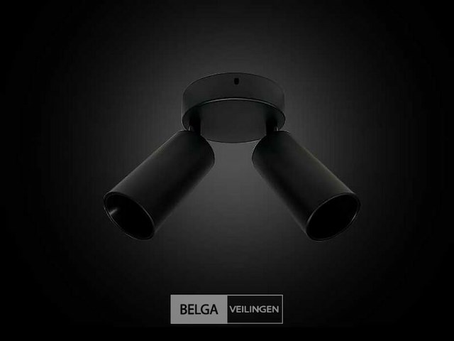 Ronde plafondlamp gu10 - 2 draaibare spots (x4) - afbeelding 4 van  5