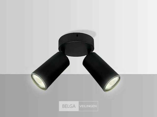 Ronde plafondlamp gu10 – 2 draaibare spots (x4) - afbeelding 3 van  5