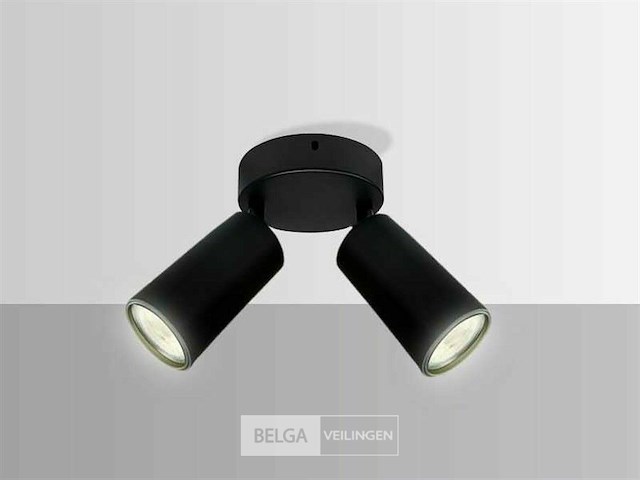 Ronde plafondlamp gu10 – 2 draaibare spots (x4) - afbeelding 3 van  5