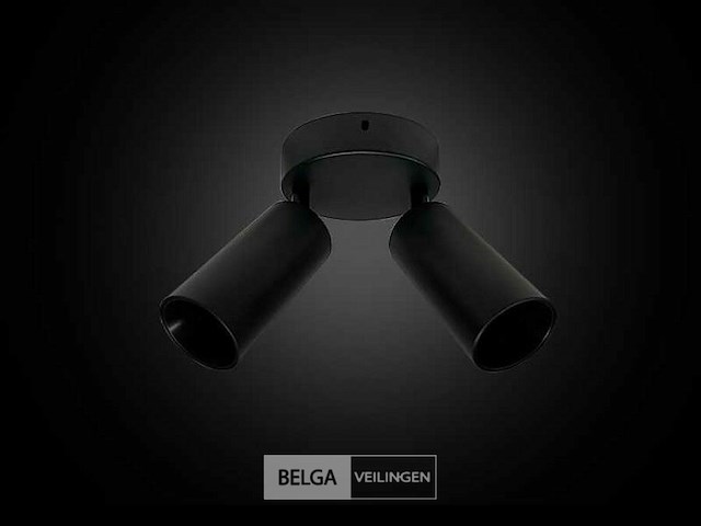 Ronde plafondlamp gu10 – 2 draaibare spots (x4) - afbeelding 4 van  5