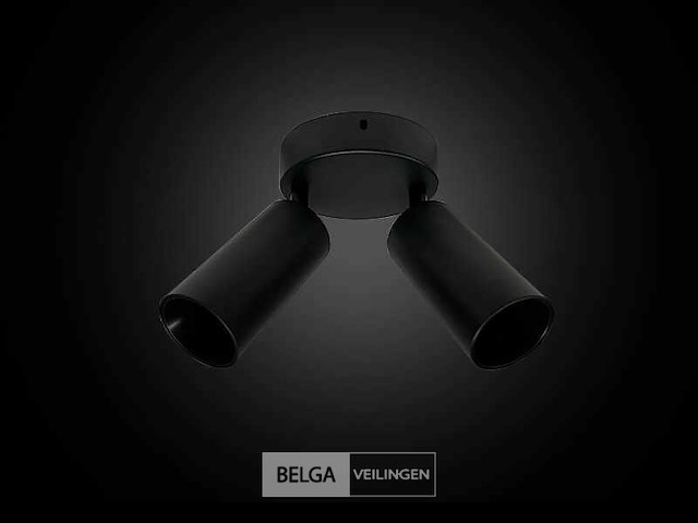 Ronde plafondlamp gu10 – 2 draaibare spots (x8) - afbeelding 4 van  5