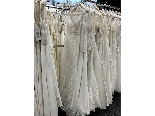 Rosa clara adriana alier bruidsjurken (34x) - afbeelding 4 van  58