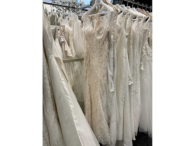 Rosa clara adriana alier bruidsjurken (34x) - afbeelding 10 van  58