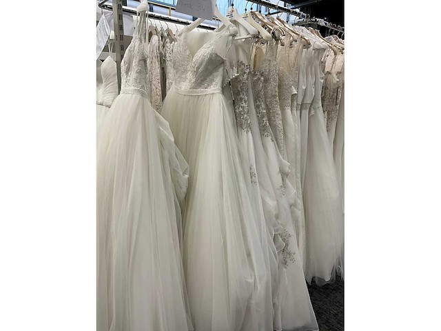 Rosa clara adriana alier bruidsjurken (34x) - afbeelding 34 van  58