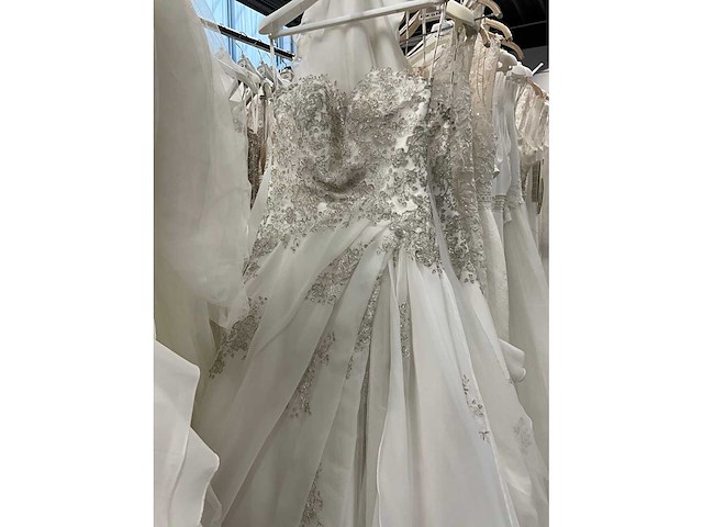 Rosa clara adriana alier bruidsjurken (34x) - afbeelding 45 van  58