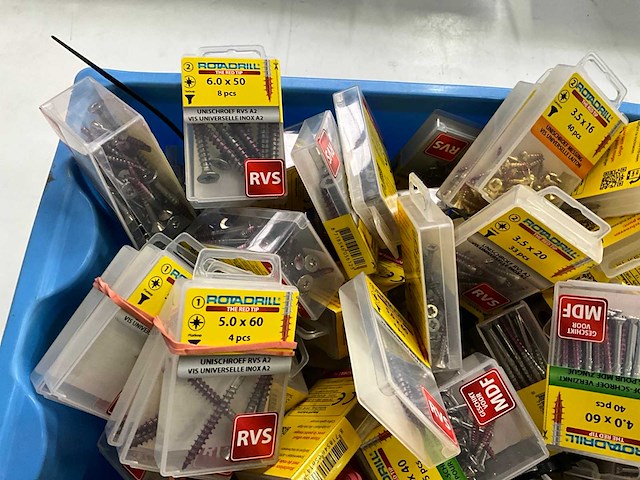 Rotadrill diverse schroeven rvs, verzinkt en messing (100x) - afbeelding 2 van  6