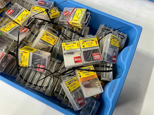 Rotadrill diverse schroeven rvs, verzinkt en messing (100x) - afbeelding 3 van  6