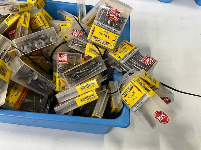 Rotadrill diverse schroeven rvs, verzinkt en messing (100x) - afbeelding 2 van  7