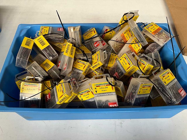 Rotadrill diverse schroeven rvs, verzinkt en messing in blister (100x) - afbeelding 1 van  6