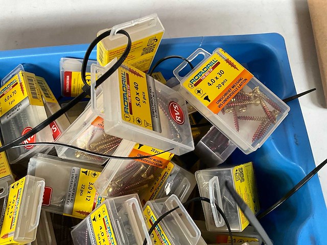 Rotadrill diverse schroeven rvs, verzinkt en messing in blister (100x) - afbeelding 2 van  6