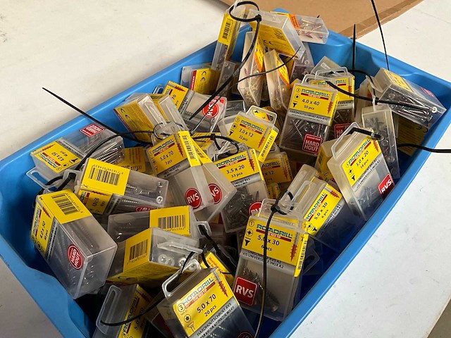 Rotadrill diverse schroeven rvs, verzinkt en messing in blister (100x) - afbeelding 5 van  6