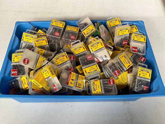 Rotadrill diverse schroeven rvs, verzinkt en messing in blister (100x) - afbeelding 1 van  7