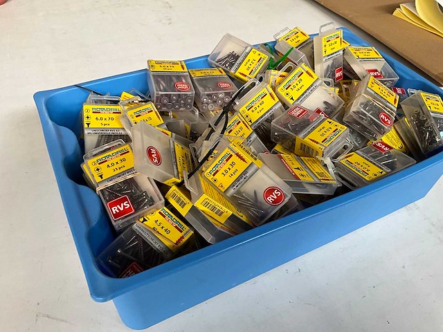 Rotadrill diverse schroeven rvs, verzinkt en messing in blister (100x) - afbeelding 6 van  7