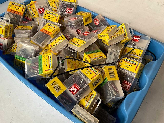 Rotadrill diverse schroeven rvs, verzinkt en messing in blister (100x) - afbeelding 6 van  7