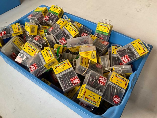 Rotadrill diverse schroeven rvs, verzinkt en messing in blister (100x) - afbeelding 3 van  4