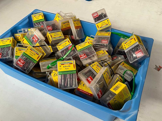 Rotadrill diverse schroeven rvs, verzinkt en messing in blister (100x) - afbeelding 5 van  6