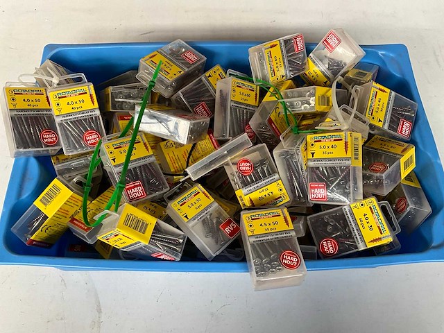 Rotadrill diverse schroeven rvs, verzinkt en messing in blister (100x) - afbeelding 1 van  7