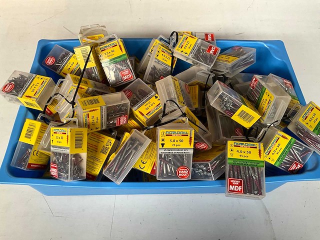 Rotadrill diverse schroeven rvs, verzinkt en messing in blister (100x) - afbeelding 1 van  7